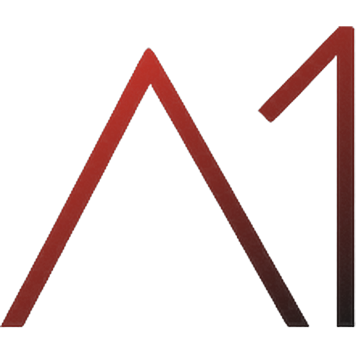 A1